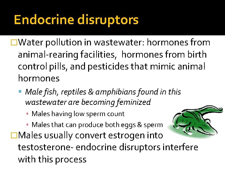 Endocrine disruptors �Water pollution in wastewater: hormones from animal-rearing facilities, hormones from birth control