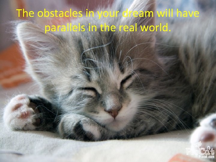 The obstacles in your dream will have parallels in the real world. 