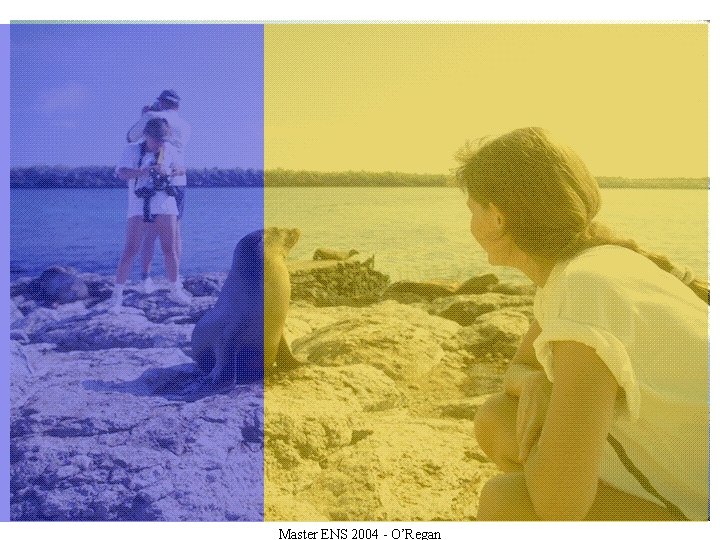 Master ENS 2004 - O’Regan 