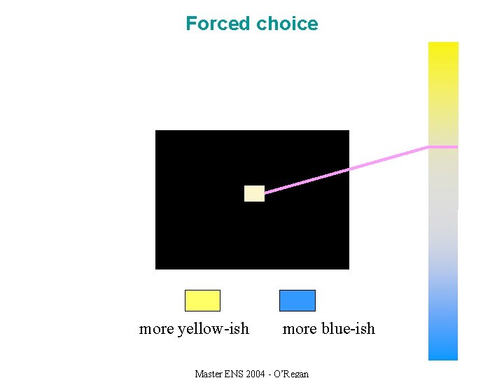 Forced choice more yellow-ish more blue-ish Master ENS 2004 - O’Regan 