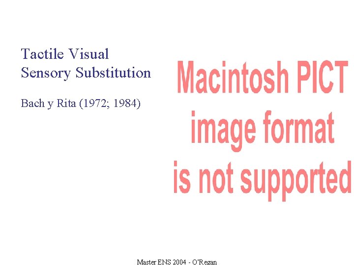 Tactile Visual Sensory Substitution Bach y Rita (1972; 1984) Master ENS 2004 - O’Regan