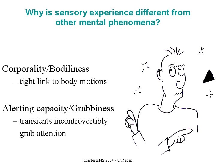 Why is sensory experience different from other mental phenomena? Corporality/Bodiliness – tight link to