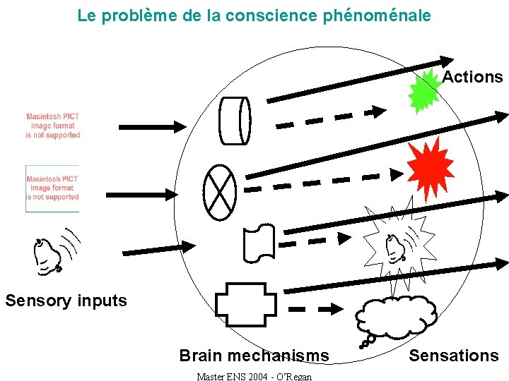 Le problème de la conscience phénoménale Actions Sensory inputs Brain mechanisms Master ENS 2004