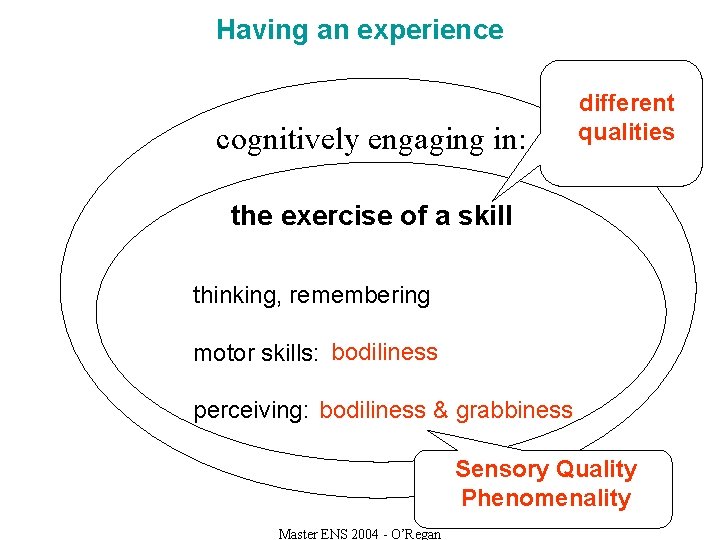 Having an experience cognitively engaging in: different qualities the exercise of a skill thinking,