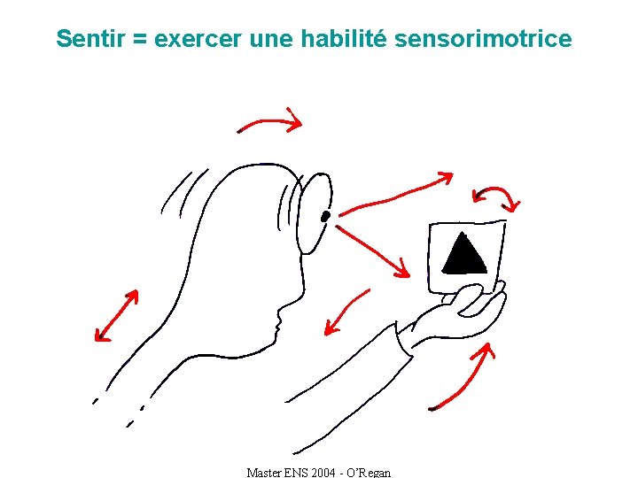 Sentir = exercer une habilité sensorimotrice Master ENS 2004 - O’Regan 