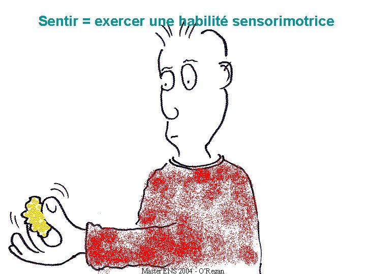 Sentir = exercer une habilité sensorimotrice Master ENS 2004 - O’Regan 