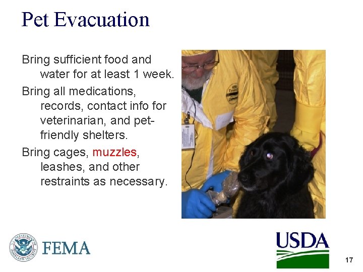 Pet Evacuation Bring sufficient food and water for at least 1 week. Bring all