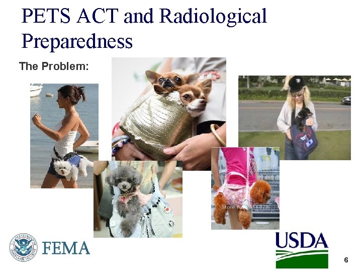 PETS ACT and Radiological Preparedness The Problem: 6 6 