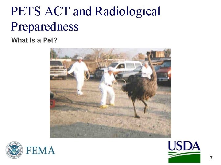 PETS ACT and Radiological Preparedness What Is a Pet? 7 7 