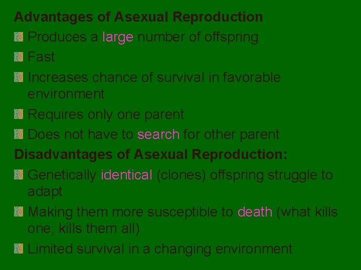 Advantages of Asexual Reproduction Produces a large number of offspring Fast Increases chance of