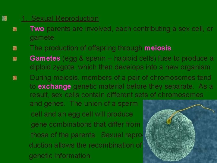 1. Sexual Reproduction Two parents are involved, each contributing a sex cell, or gamete.
