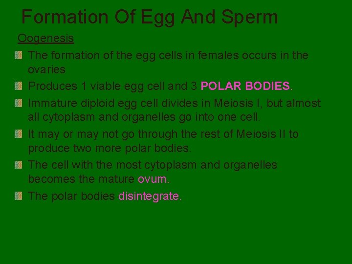 Formation Of Egg And Sperm Oogenesis The formation of the egg cells in females