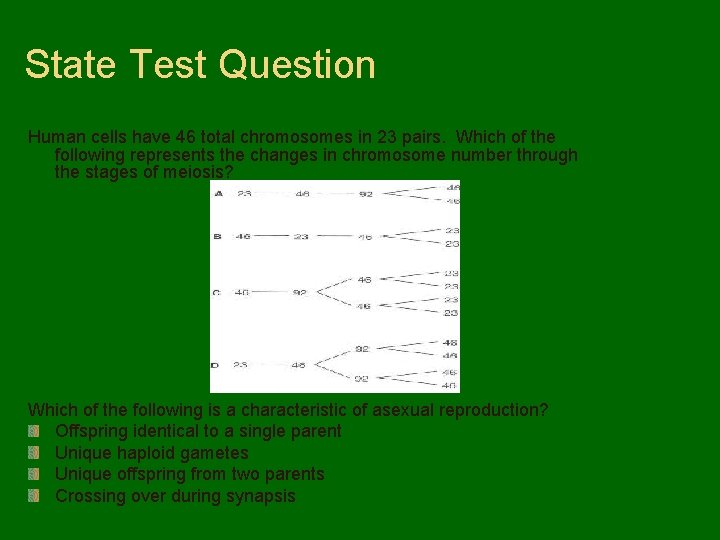 State Test Question Human cells have 46 total chromosomes in 23 pairs. Which of