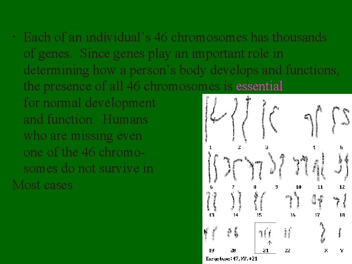  Each of an individual’s 46 chromosomes has thousands of genes. Since genes play
