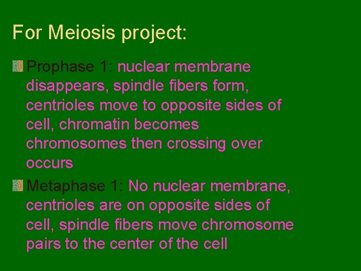 For Meiosis project: Prophase 1: nuclear membrane disappears, spindle fibers form, centrioles move to