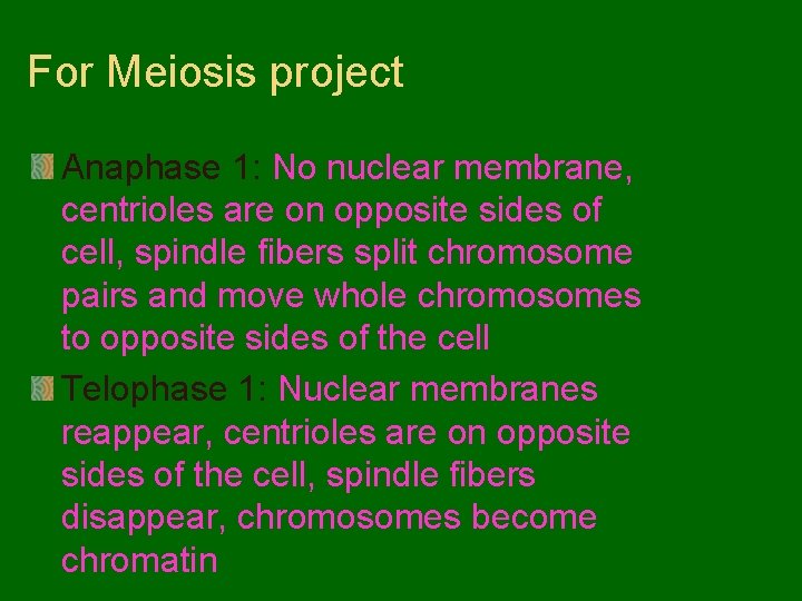 For Meiosis project Anaphase 1: No nuclear membrane, centrioles are on opposite sides of