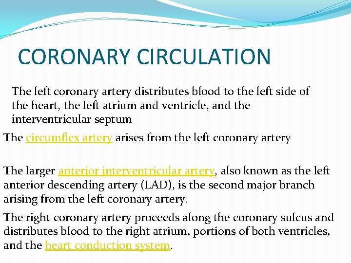 CORONARY CIRCULATION The left coronary artery distributes blood to the left side of the