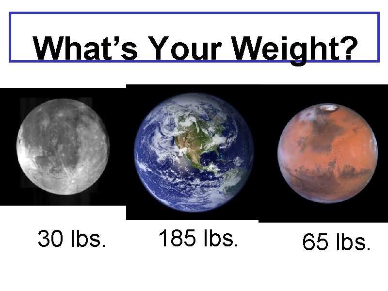 What’s Your Weight? 30 lbs. 185 lbs. 65 lbs. 