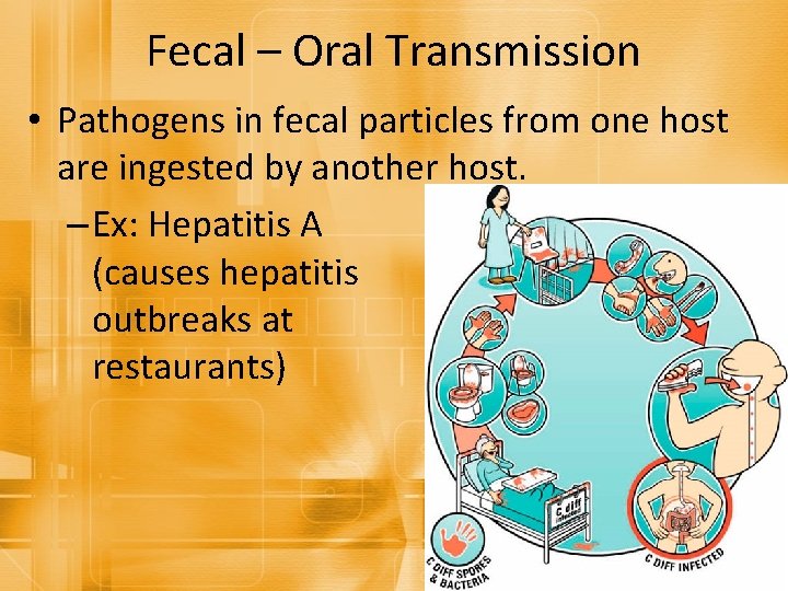Fecal – Oral Transmission • Pathogens in fecal particles from one host are ingested