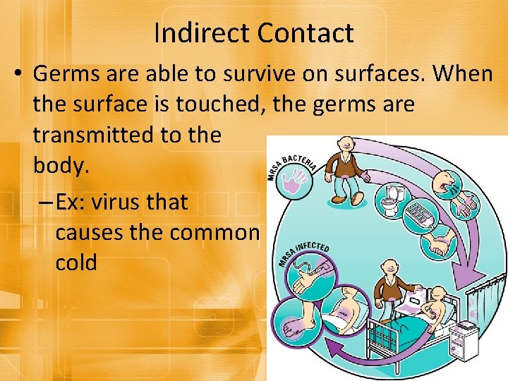 Indirect Contact • Germs are able to survive on surfaces. When the surface is