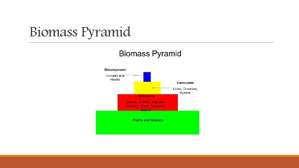 Biomass Pyramid Biomass Pyramid