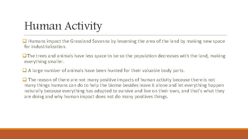 Human Activity q Humans impact the Grassland Savanna by lessening the area of the Human Activity q Humans impact the Grassland Savanna by lessening the area of the