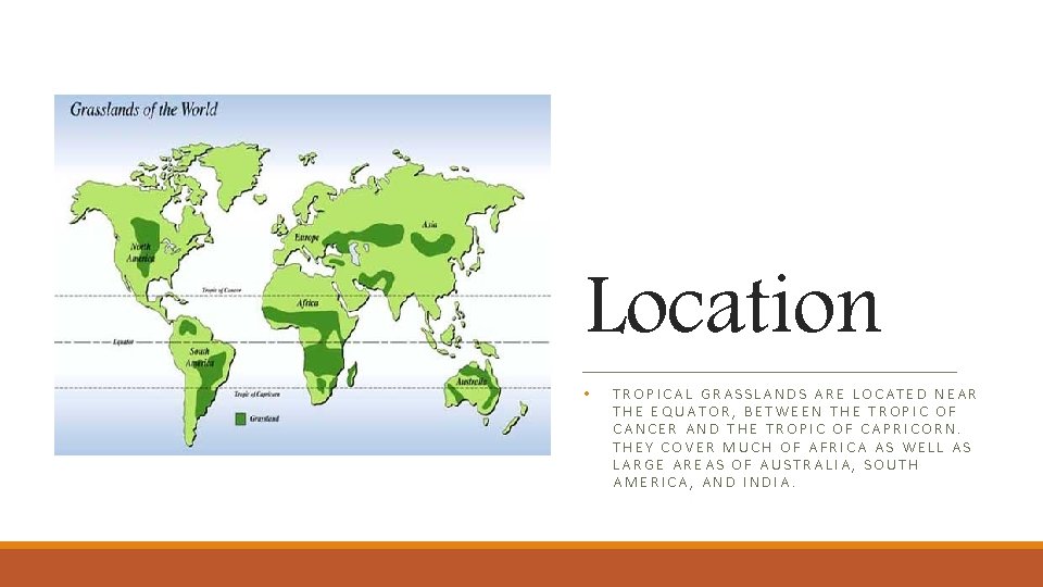 Location • TROPICAL GRASSLANDS ARE LOCATED NEAR THE EQUATOR, BETWEEN THE TROPIC OF CANCER Location • TROPICAL GRASSLANDS ARE LOCATED NEAR THE EQUATOR, BETWEEN THE TROPIC OF CANCER