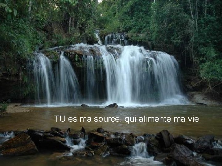 TU es ma source, qui alimente ma vie 