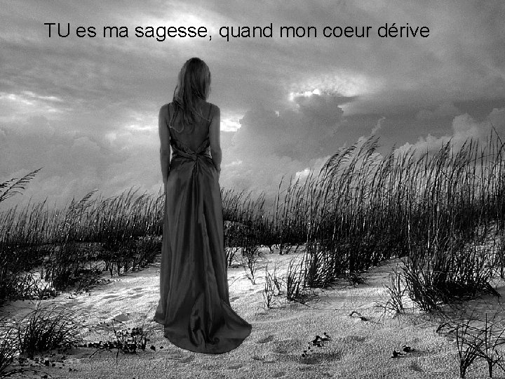TU es ma sagesse, quand mon coeur dérive 