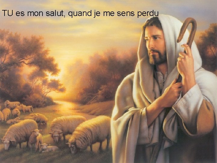 TU es mon salut, quand je me sens perdu 