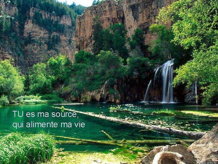 TU es ma source, qui alimente ma vie 