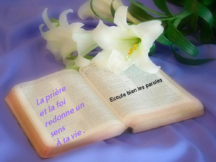 s e r è ri p La foi n a eu l t e
