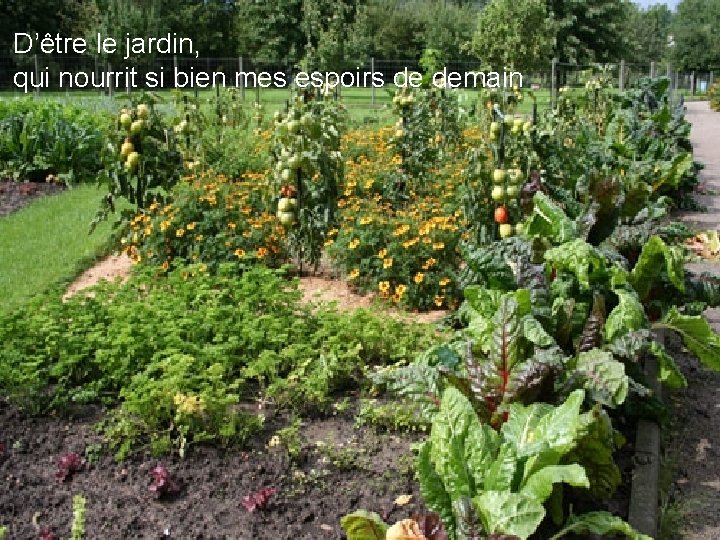 D’être le jardin, qui nourrit si bien mes espoirs de demain 