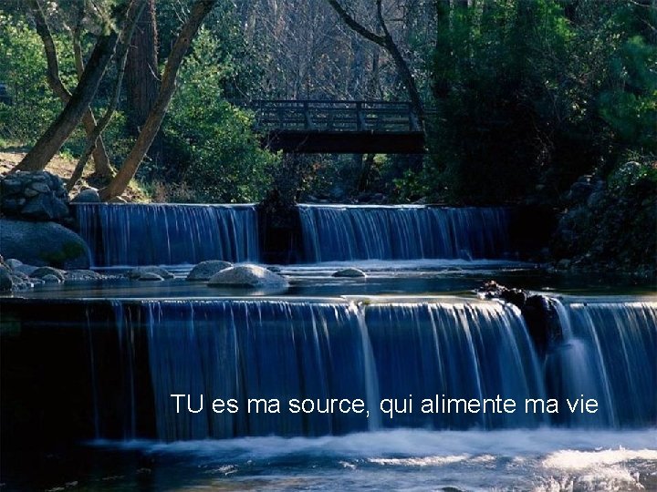 TU es ma source, qui alimente ma vie 
