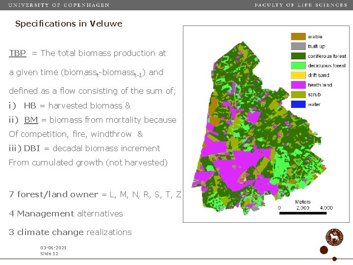 Specifications in Veluwe TBP = The total biomass production at a given time (biomasst-1)