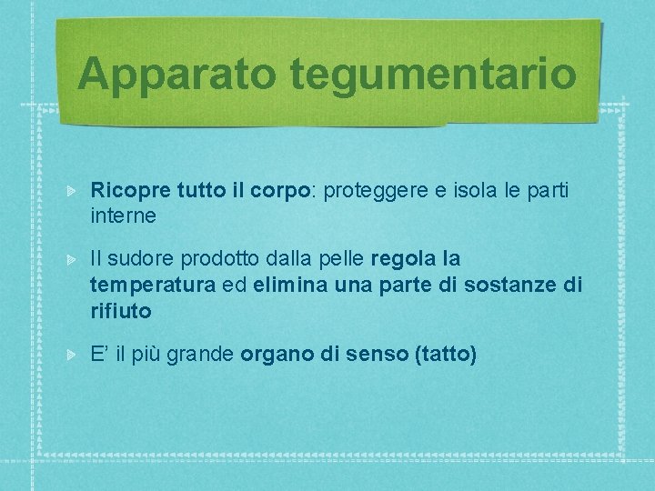 Apparato tegumentario Ricopre tutto il corpo: proteggere e isola le parti interne Il sudore