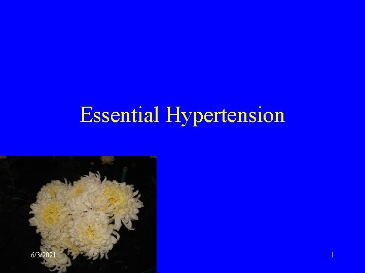 Essential Hypertension 6/3/2021 1 