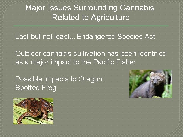 Major Issues Surrounding Cannabis Related to Agriculture Last but not least…Endangered Species Act Outdoor