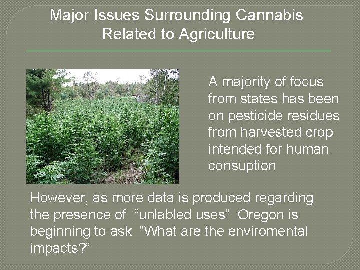 Major Issues Surrounding Cannabis Related to Agriculture A majority of focus from states has