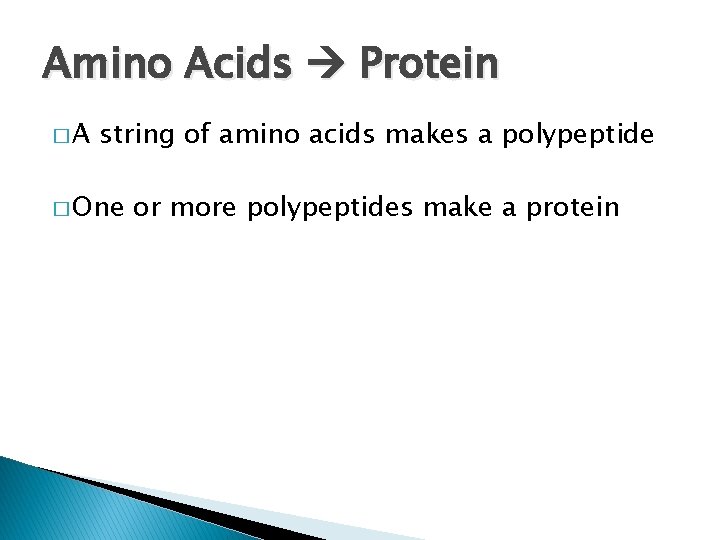 Amino Acids Protein �A string of amino acids makes a polypeptide � One or