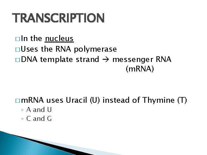 TRANSCRIPTION � In the nucleus � Uses the RNA polymerase � DNA template strand