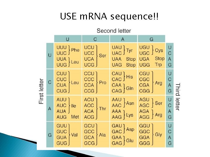 USE m. RNA sequence!! 