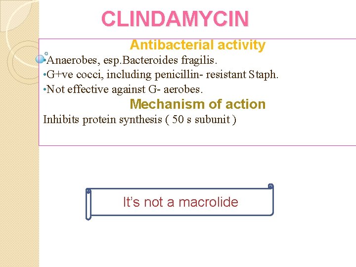 CLINDAMYCIN Antibacterial activity • Anaerobes, esp. Bacteroides fragilis. • G+ve cocci, including penicillin- resistant