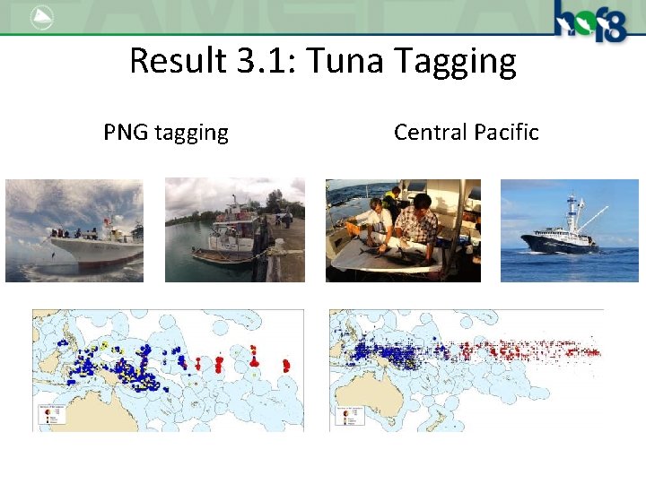 Result 3. 1: Tuna Tagging PNG tagging Central Pacific 