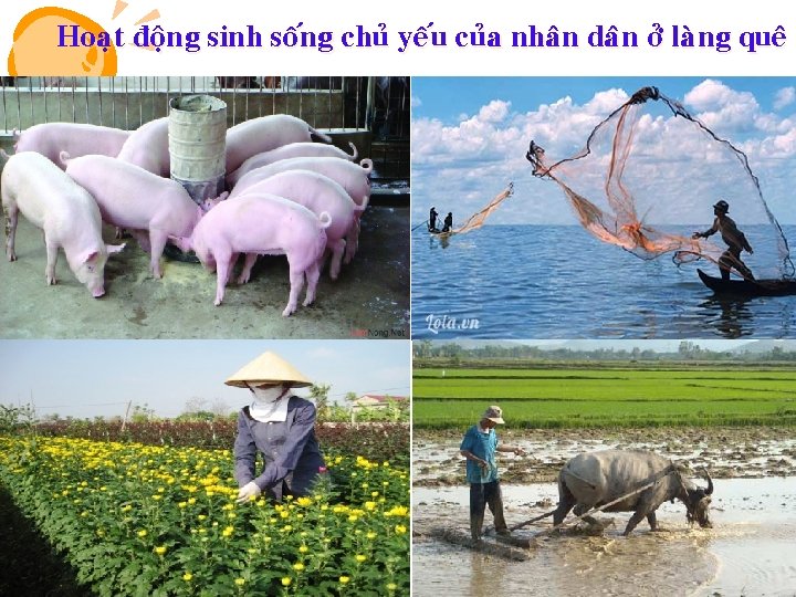Hoaït ñoäng sinh soáng chuû yeáu cuûa nhaân daân ôû laøng queâ 