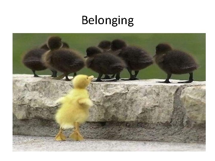 Belonging 