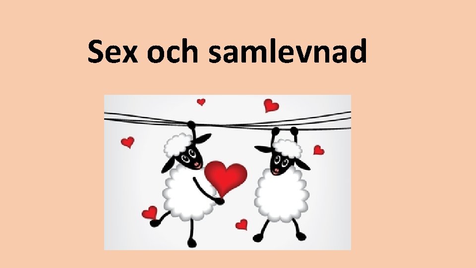 Sex och samlevnad 