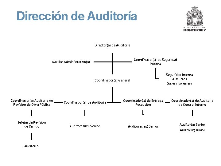 Dirección de Auditoría Director(a) de Auditoría Coordinador(a) de Seguridad Interna Auxiliar Administrativo(a) Coordinador(a) General