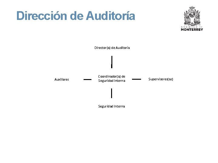Dirección de Auditoría Director(a) de Auditoría Auxiliares Coordinador(a) de Seguridad Interna Supervisores(as) 