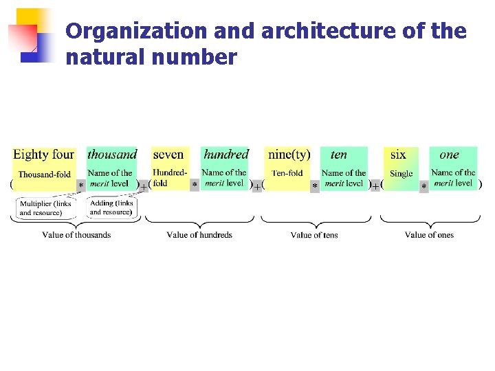 Organization and architecture of the natural number 
